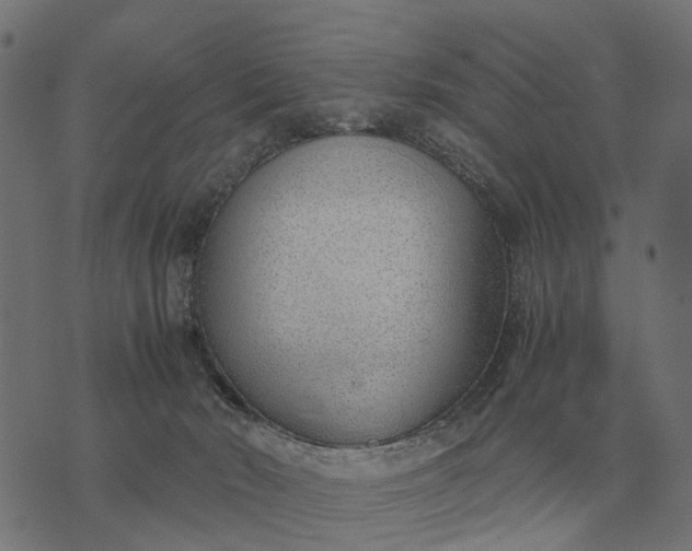 X0000076090030200610061652