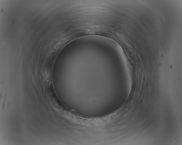 X0000076090031200610061652