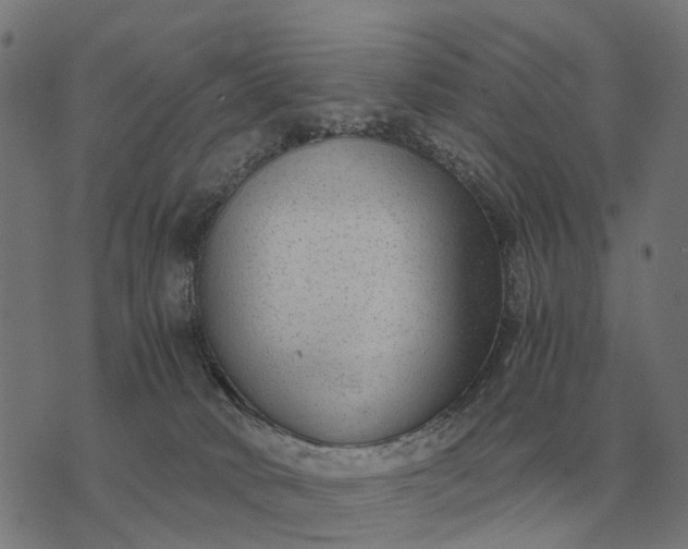 X0000076090034200610061652