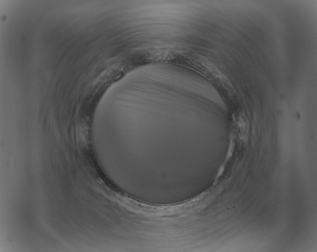 X0000076090035200610061652