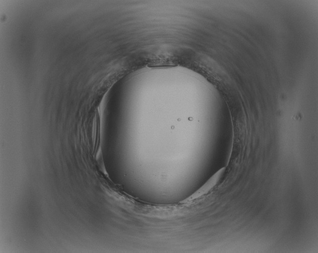 X0000076090037200610061652