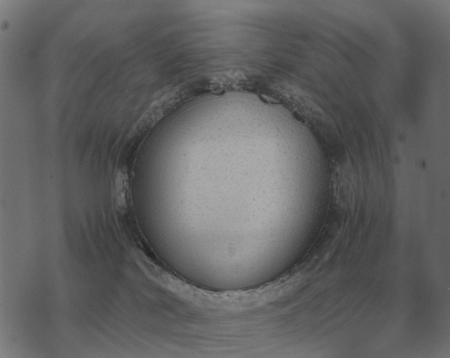 X0000076090038200610061652