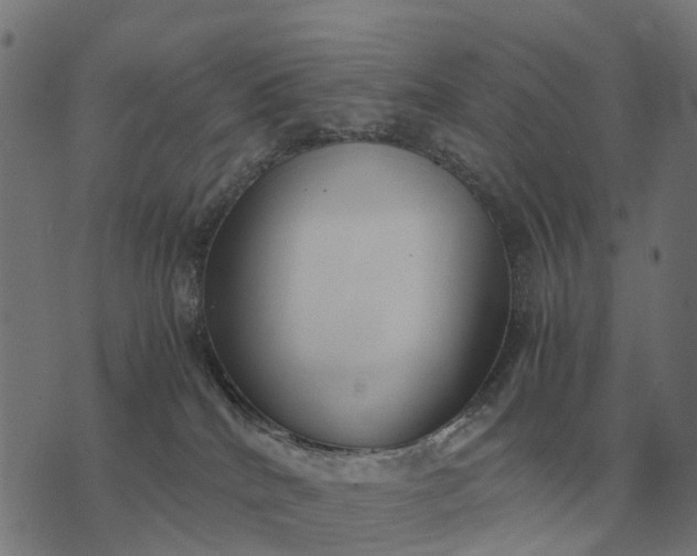 X0000076090040200610061652