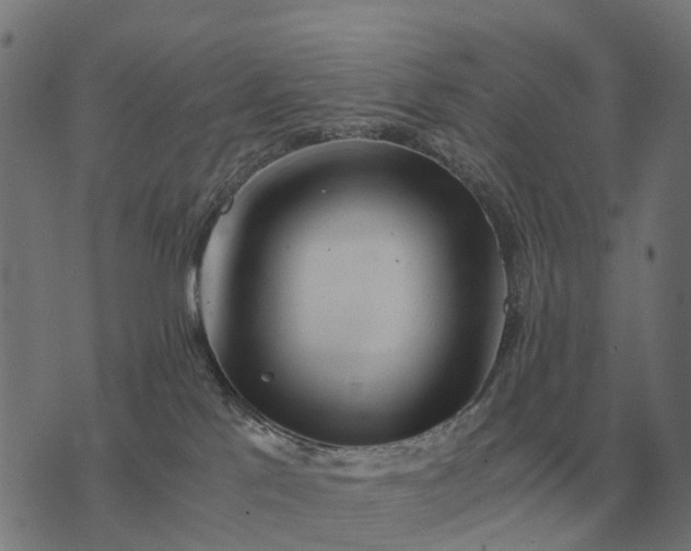 X0000076090041200610061652