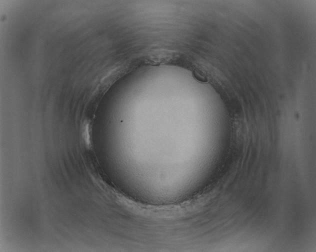 X0000076090042200610061652