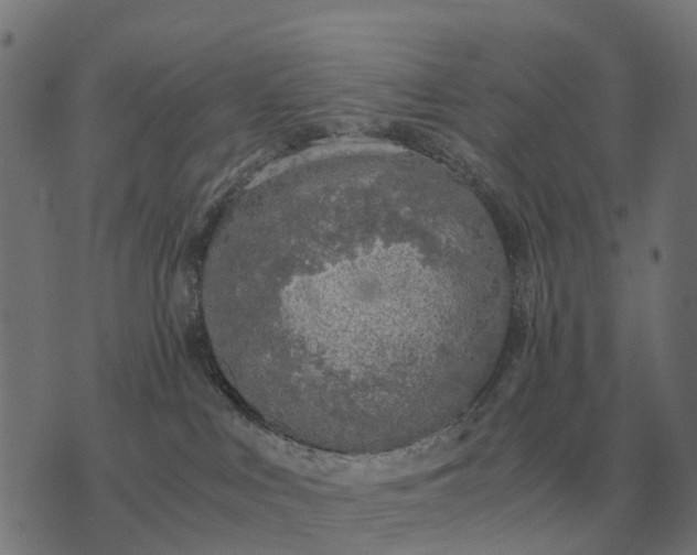 X0000076090043200610061652