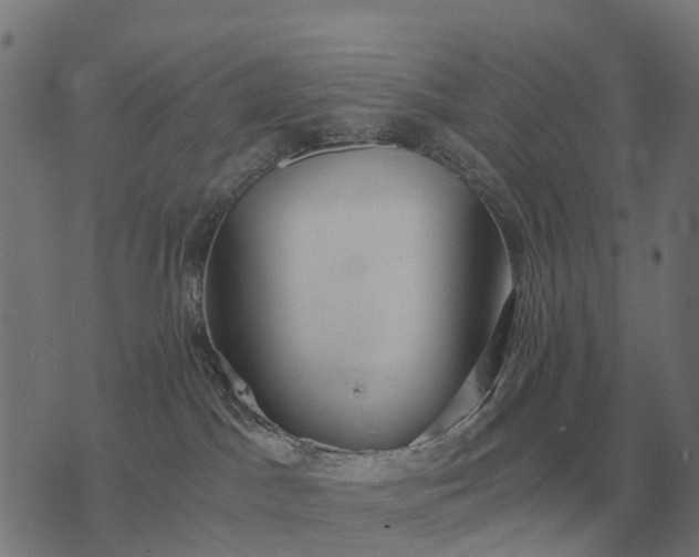 X0000076090045200610061652