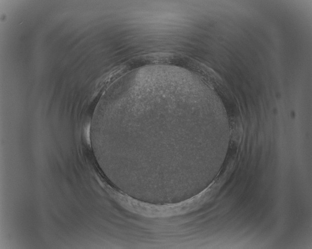 X0000076090047200610061652