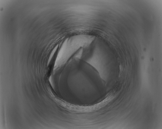 X0000076090048200610061652