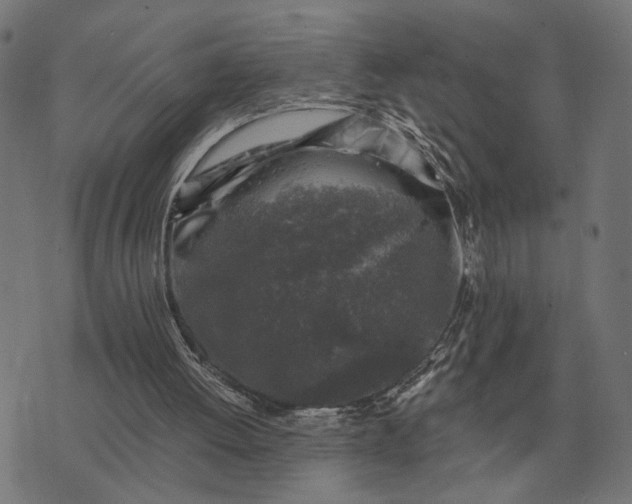 X0000076090052200610061651