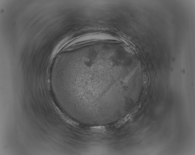 X0000076090053200610061651