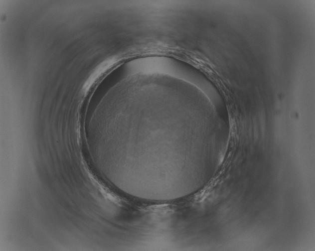 X0000076090054200610061651