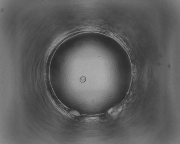 X0000076090055200610061651