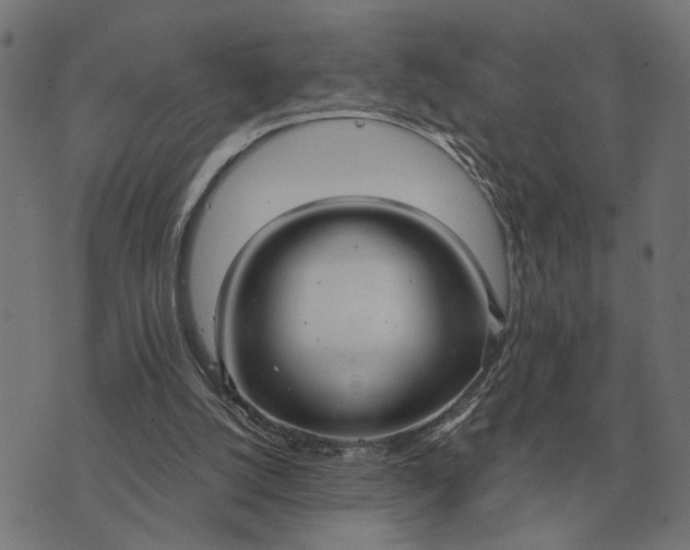 X0000076090056200610061651