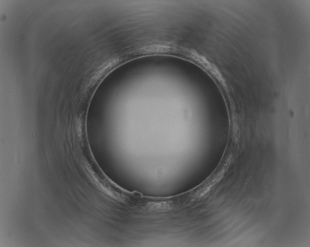 X0000076090057200610061651