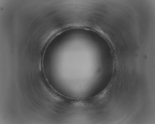 X0000076090062200610061651