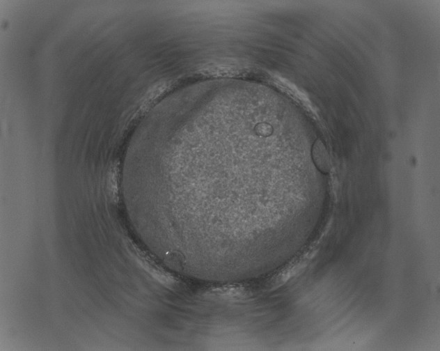 X0000076090065200610061651