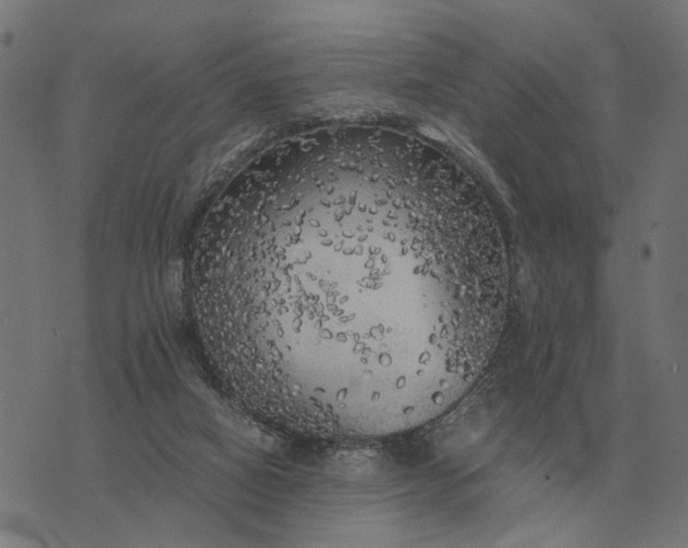 X0000076090066200610061651