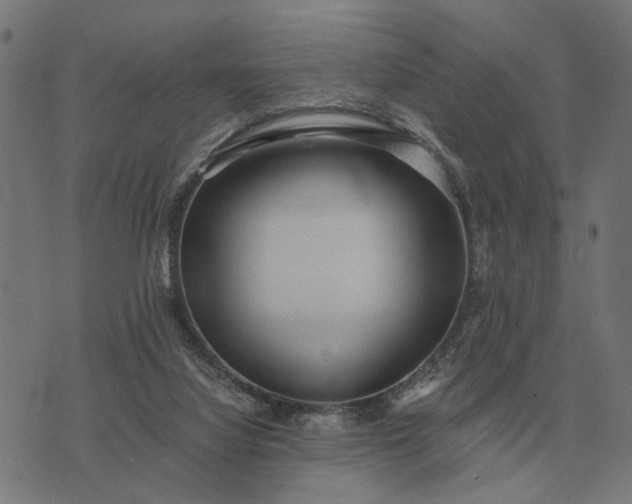 X0000076090068200610061651