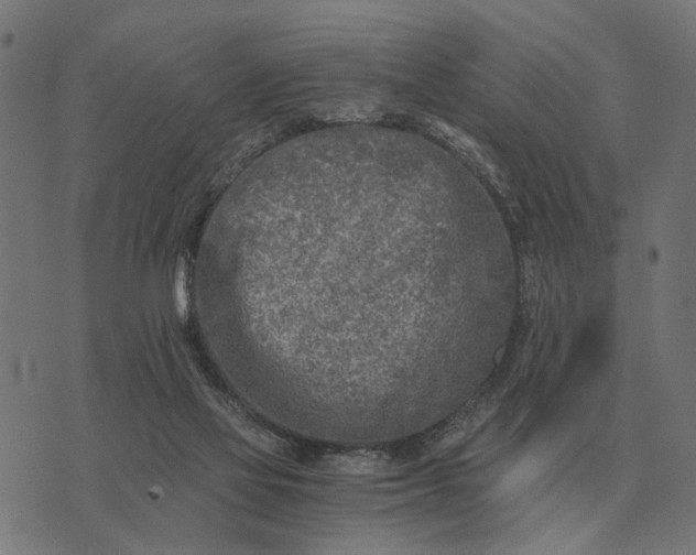 X0000076090069200610061651