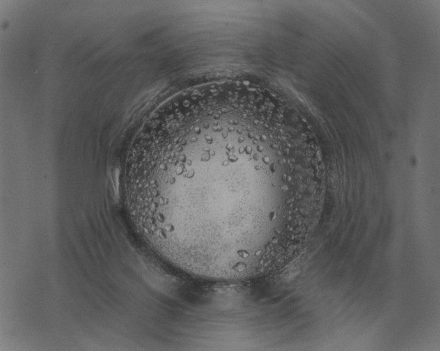 X0000076090070200610061651