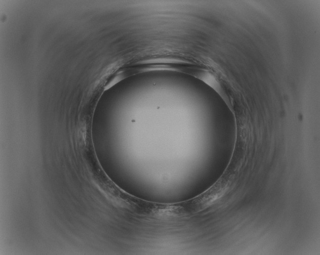 X0000076090072200610061651