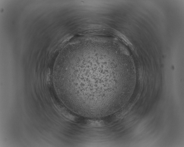 X0000076090073200610061651