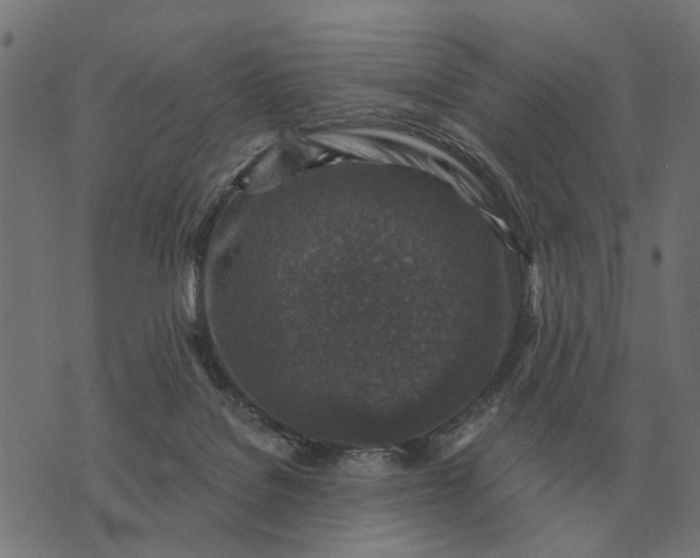 X0000076090076200610061651