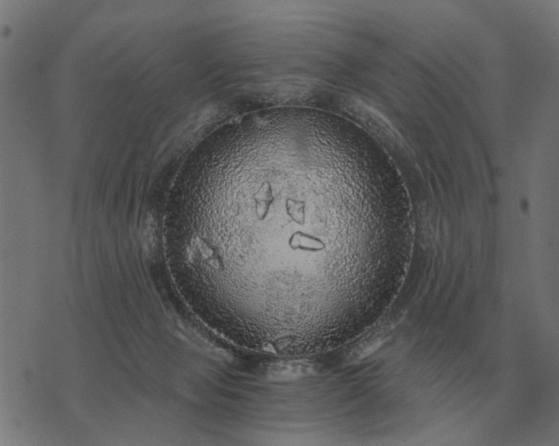 X0000076090077200610061652