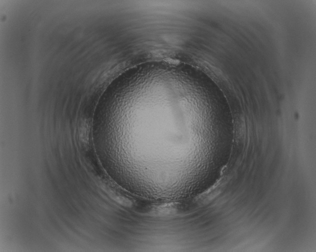 X0000076090078200610061652