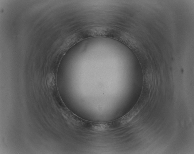 X0000076090079200610061652