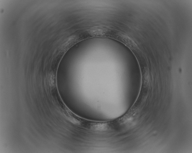 X0000076090081200610061652