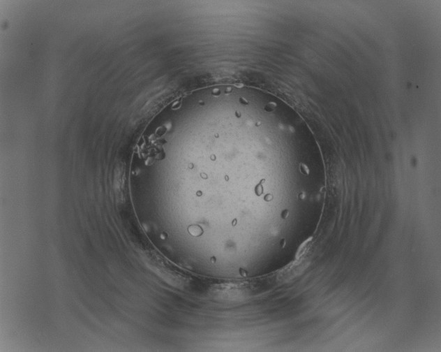 X0000076090082200610061652