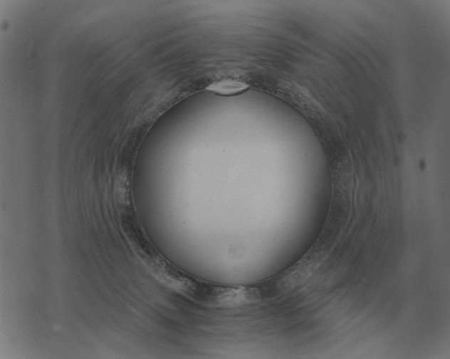 X0000076090083200610061652