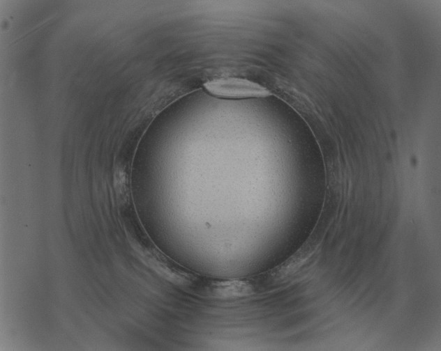 X0000076090087200610061652