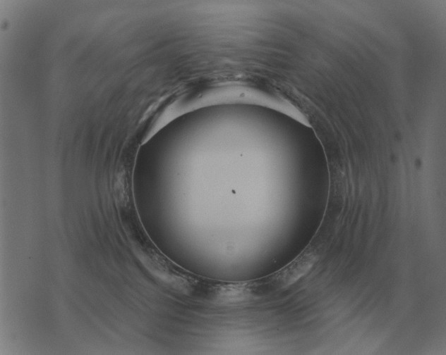 X0000076090088200610061652