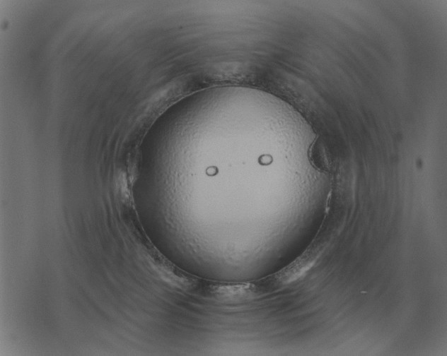 X0000076090089200610061652