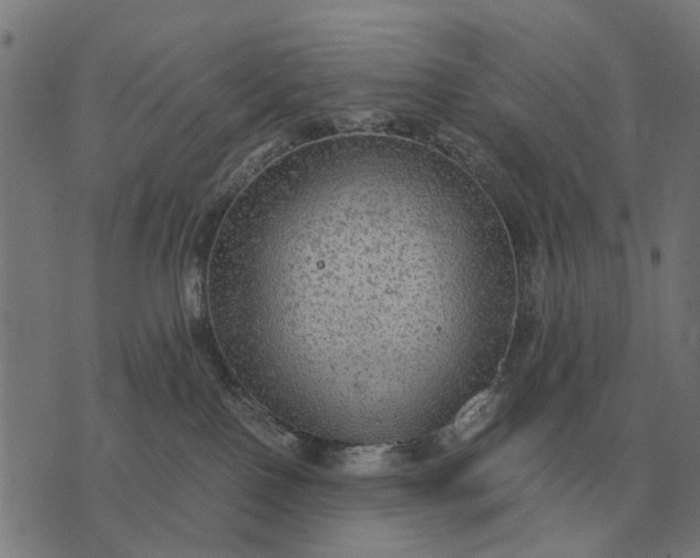 X0000076090090200610061652