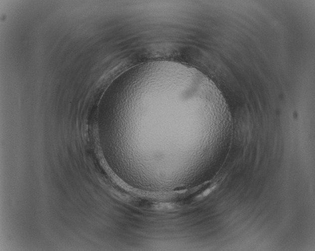 X0000076090091200610061652