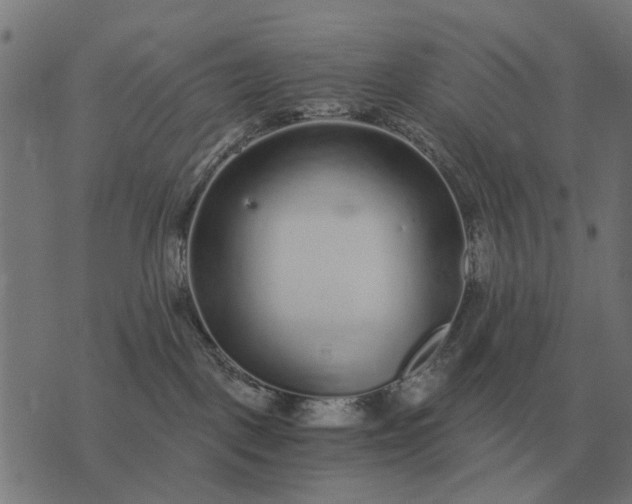 X0000076090093200610061652