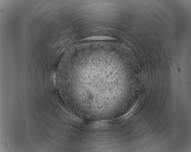 X0000076090094200610061652