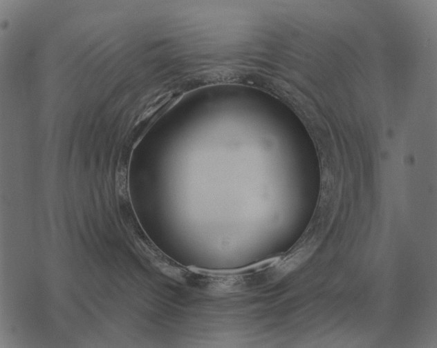 X0000076090096200610061652