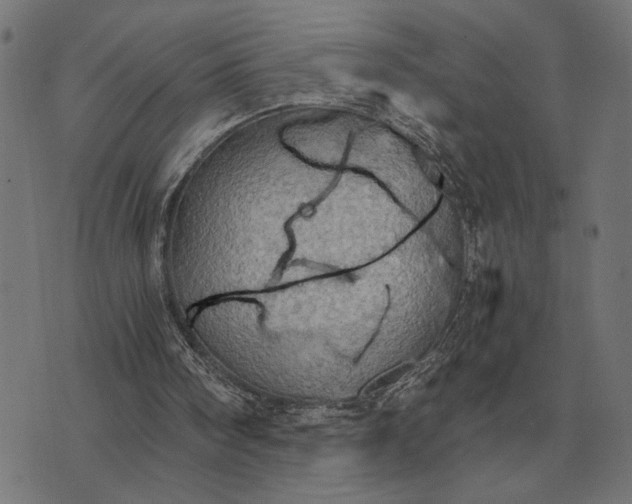 X0000076090098200610061651