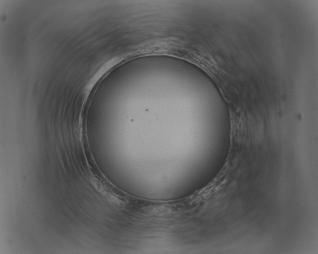 X0000076090100200610061651