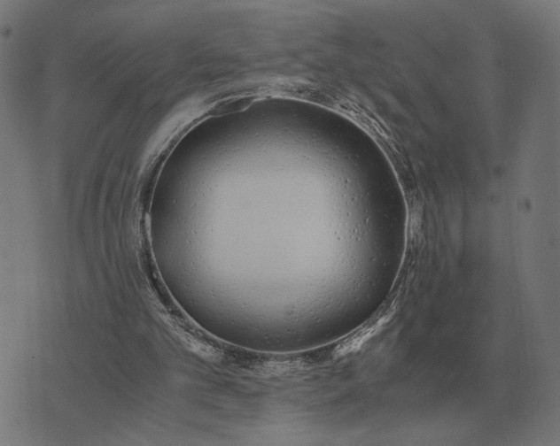 X0000076090101200610061651