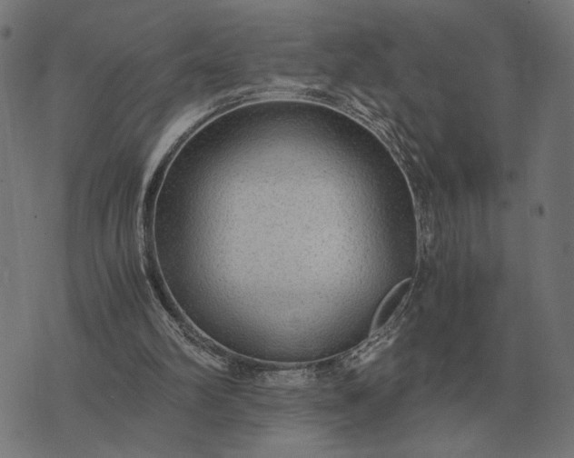 X0000076090102200610061651