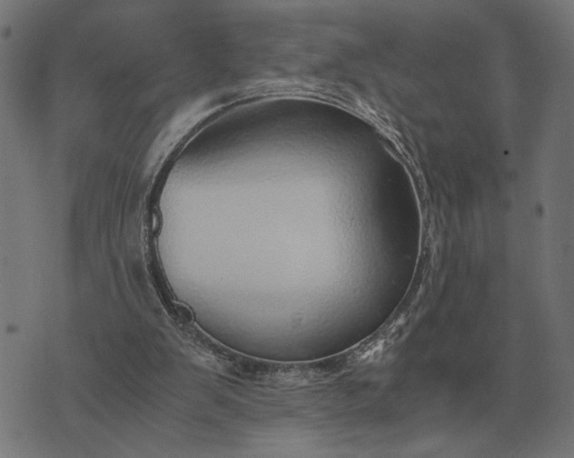 X0000076090103200610061651