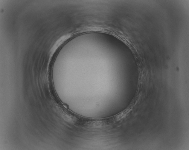 X0000076090104200610061651