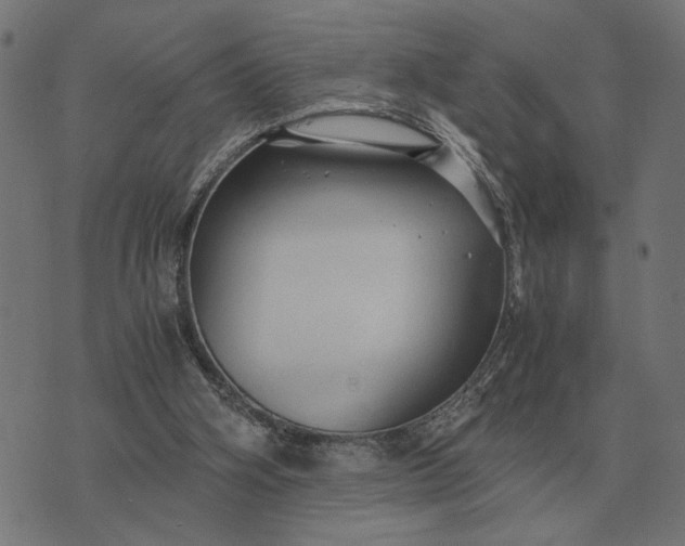 X0000076090106200610061651