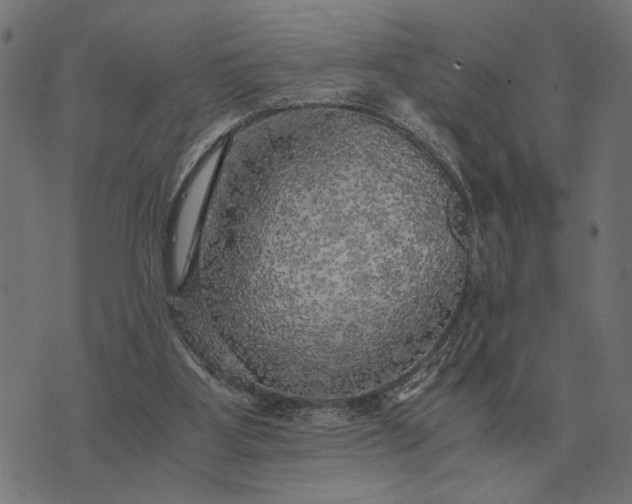 X0000076090107200610061651